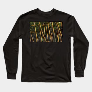 Deep Forest Long Sleeve T-Shirt